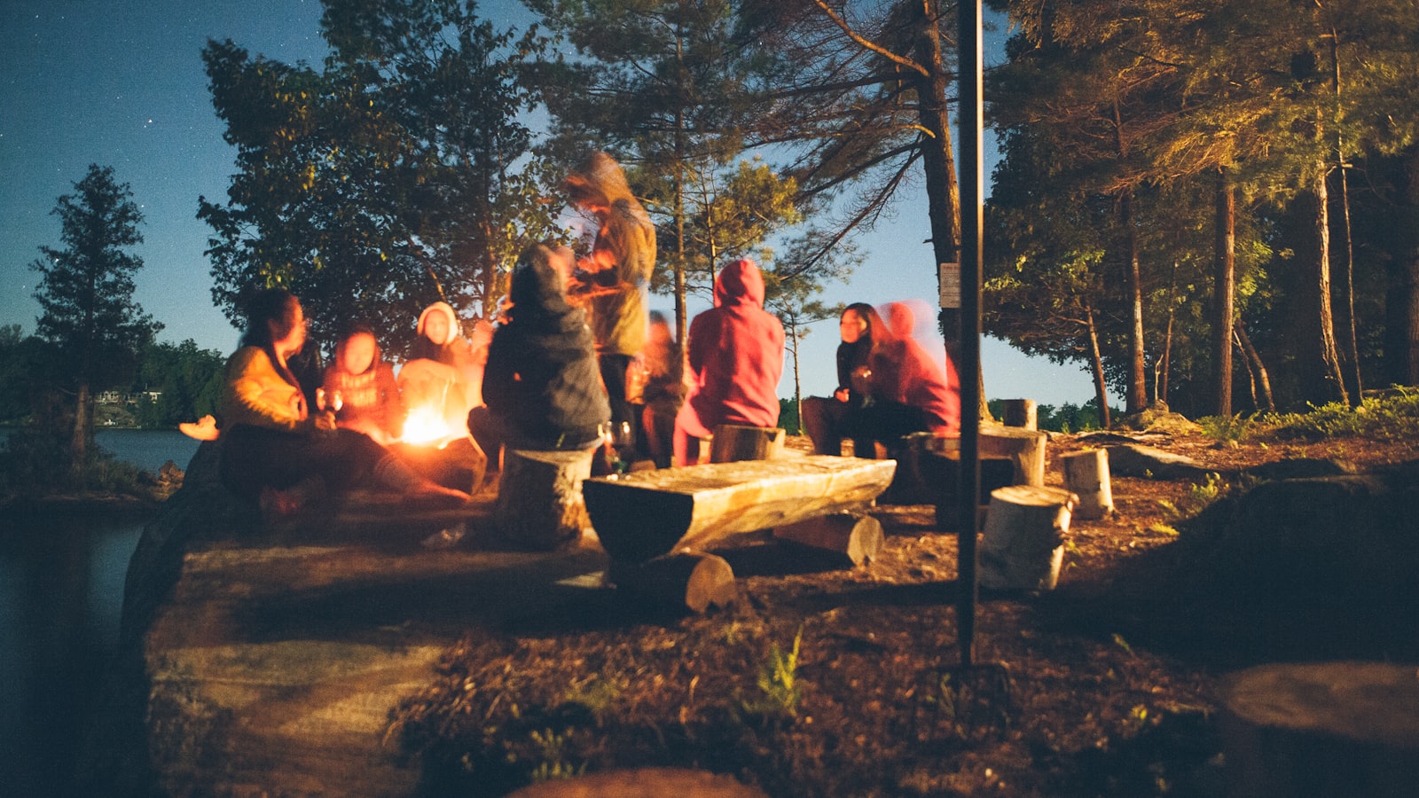 Camping chairs around a forest campsite